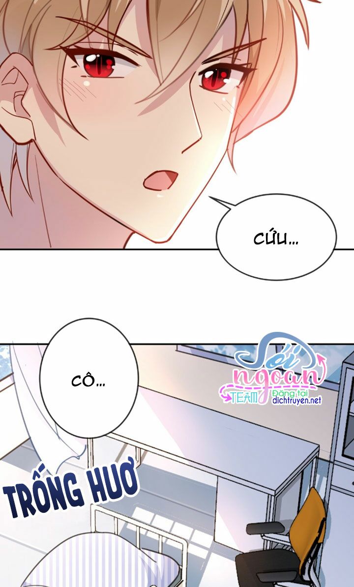 Em là bạc hà mèo của tôi: Chapter 8