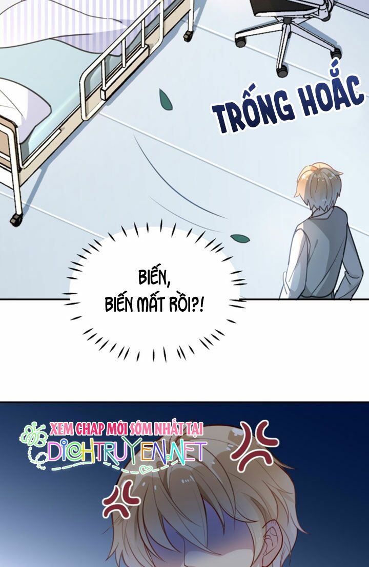 Em là bạc hà mèo của tôi: Chapter 8