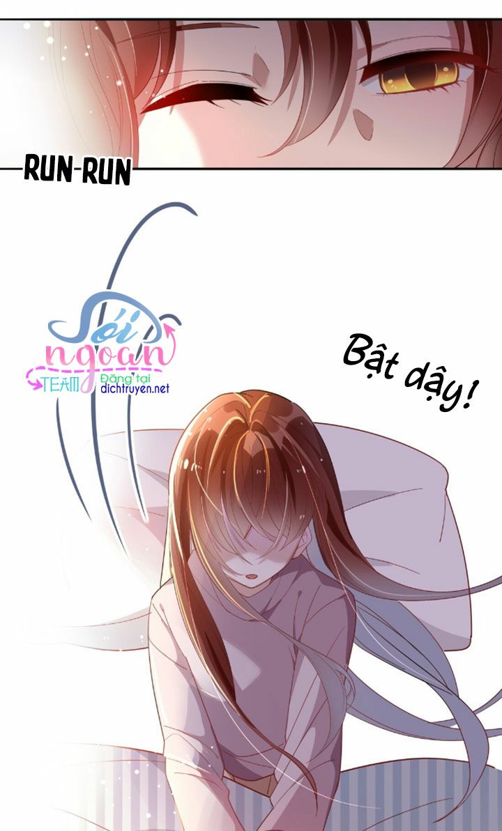 Em là bạc hà mèo của tôi: Chapter 8