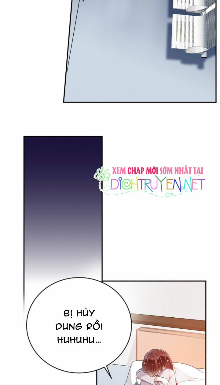 Em là bạc hà mèo của tôi: Chapter 8