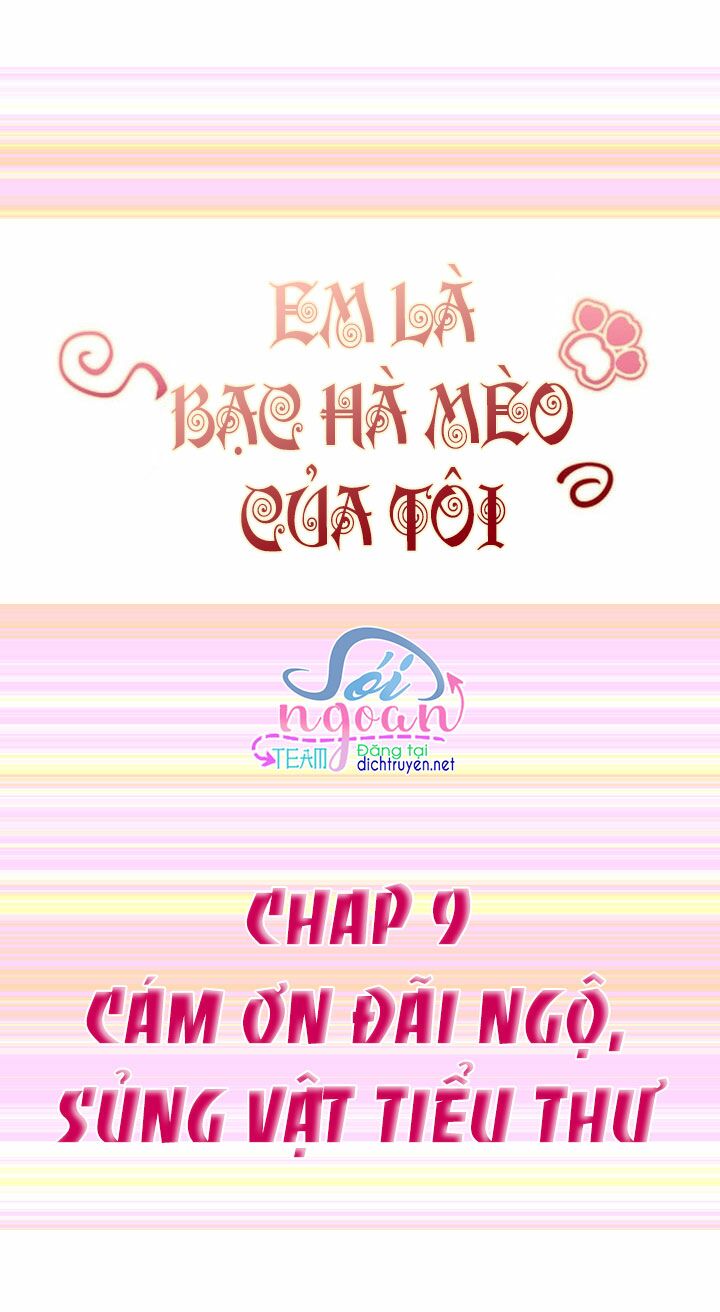 Em là bạc hà mèo của tôi: Chapter 9