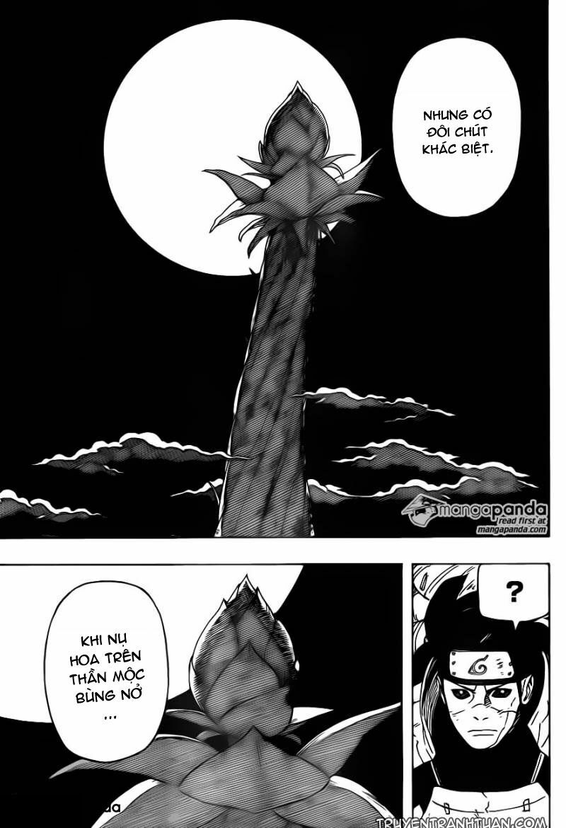 Naruto - Cửu Vĩ Hồ Ly: Chapter 646
