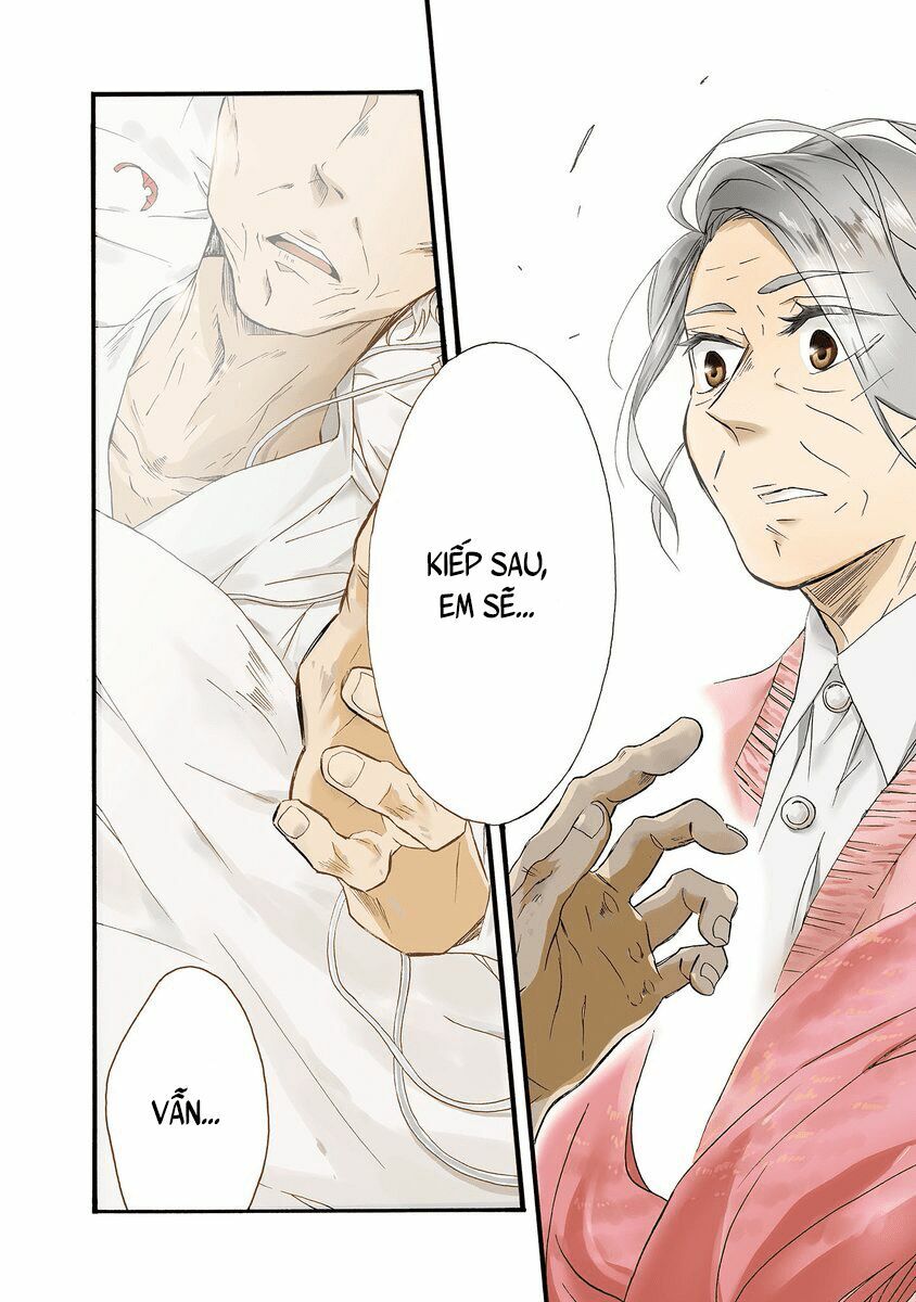 Will you marry me again if you are reborn?: Chapter 1: Cặp đôi mùa thu