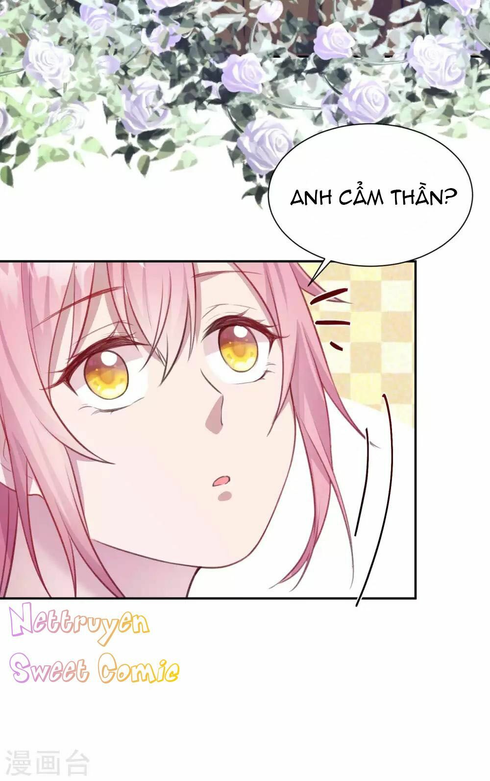 Tổng tài thịnh sủng tiền thê: Chapter 16