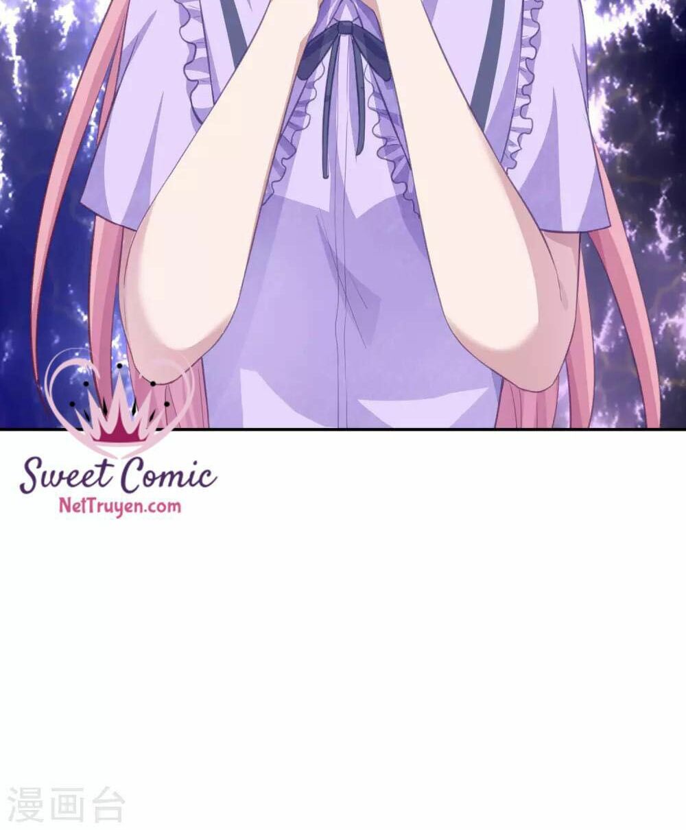 Tổng tài thịnh sủng tiền thê: Chapter 20: END