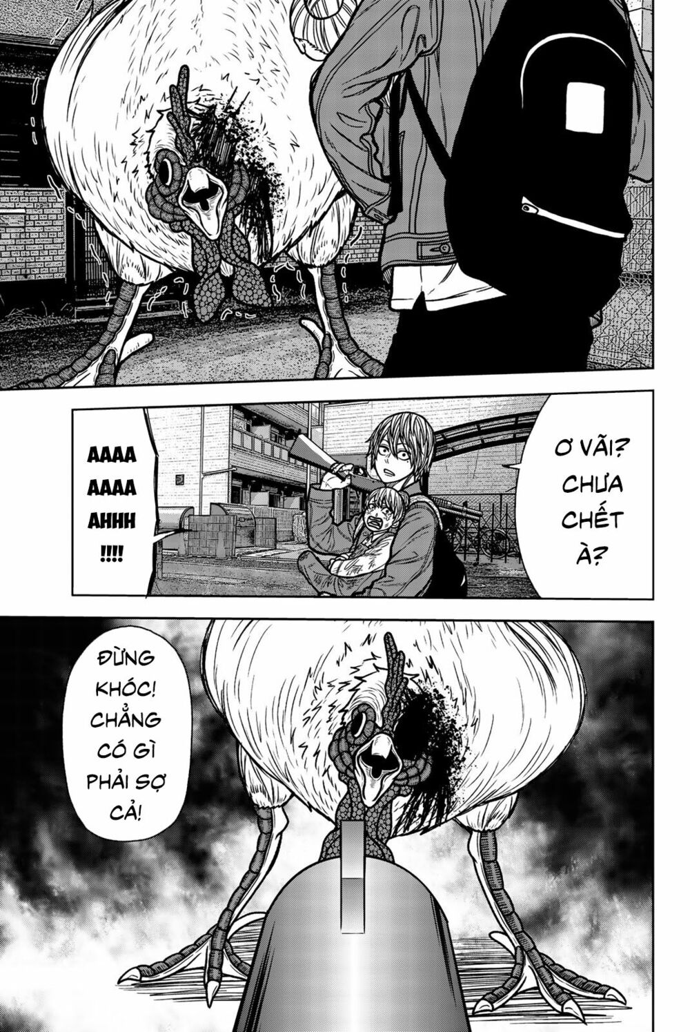 Tiếng gáy sát thủ: Chapter 55: (END)
