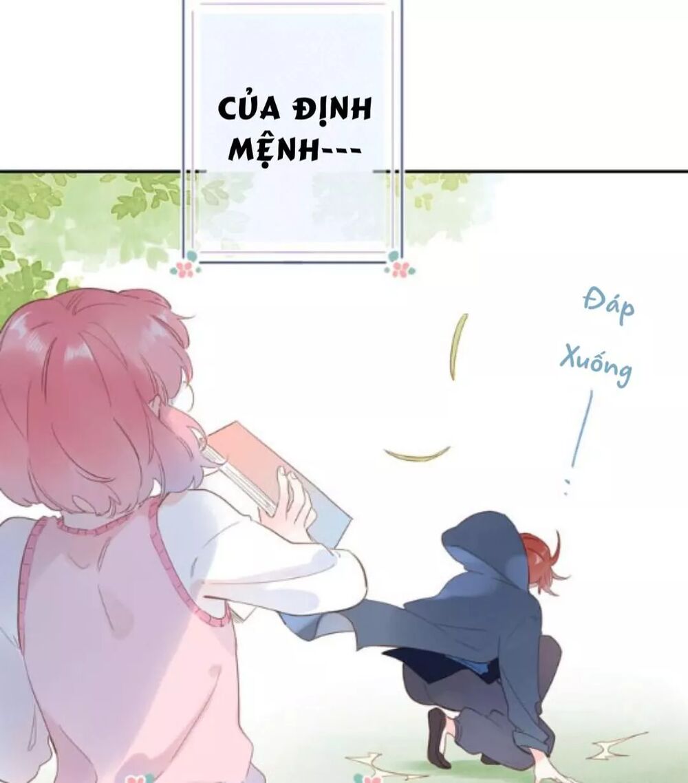 SOS! Tôi đã yêu một con sâu bướm: Chapter 57