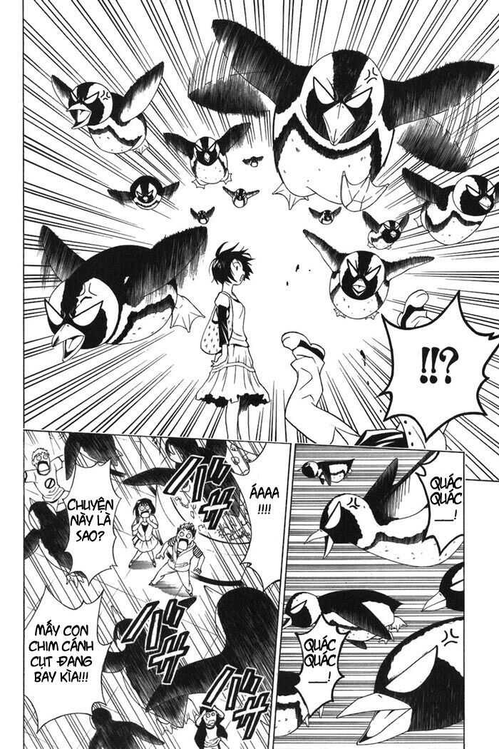 Bọn tớ thích cậu! Rito: Chapter 10