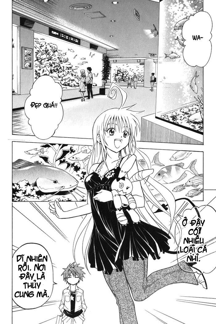 Bọn tớ thích cậu! Rito: Chapter 10