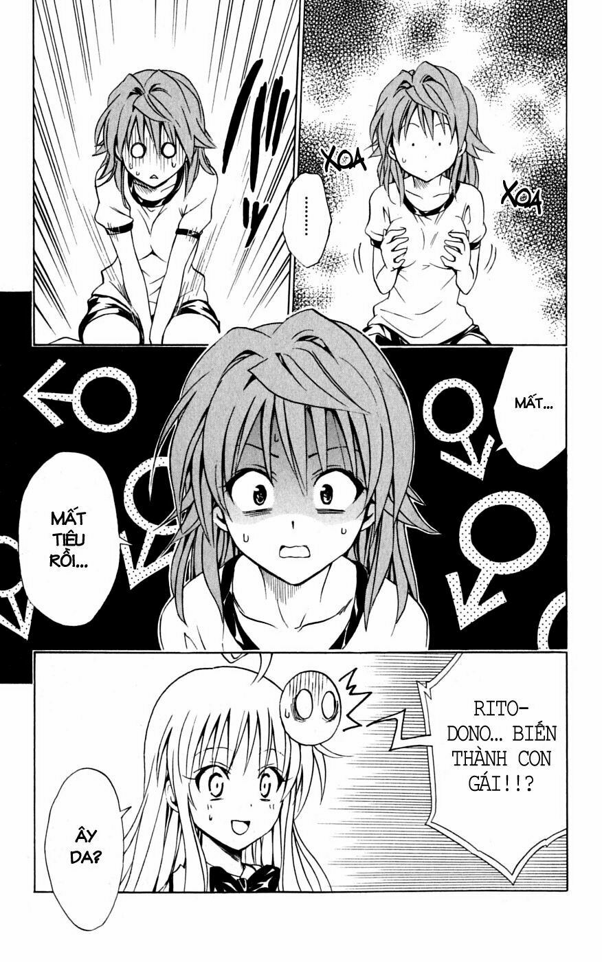 Bọn tớ thích cậu! Rito: Chapter 100