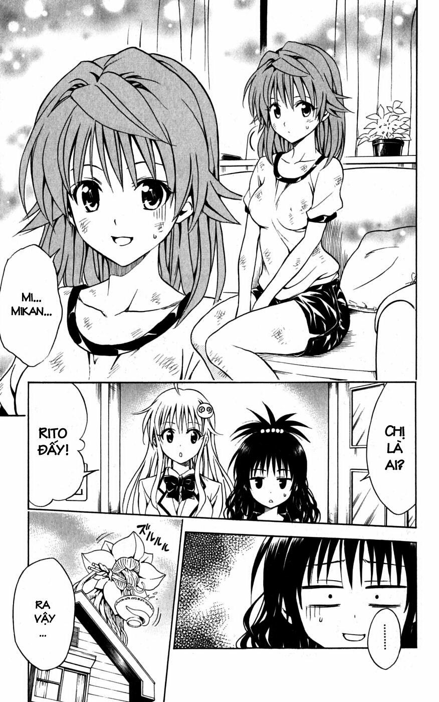 Bọn tớ thích cậu! Rito: Chapter 101