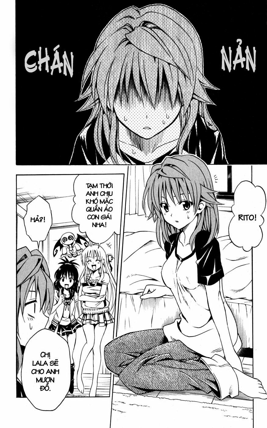 Bọn tớ thích cậu! Rito: Chapter 101
