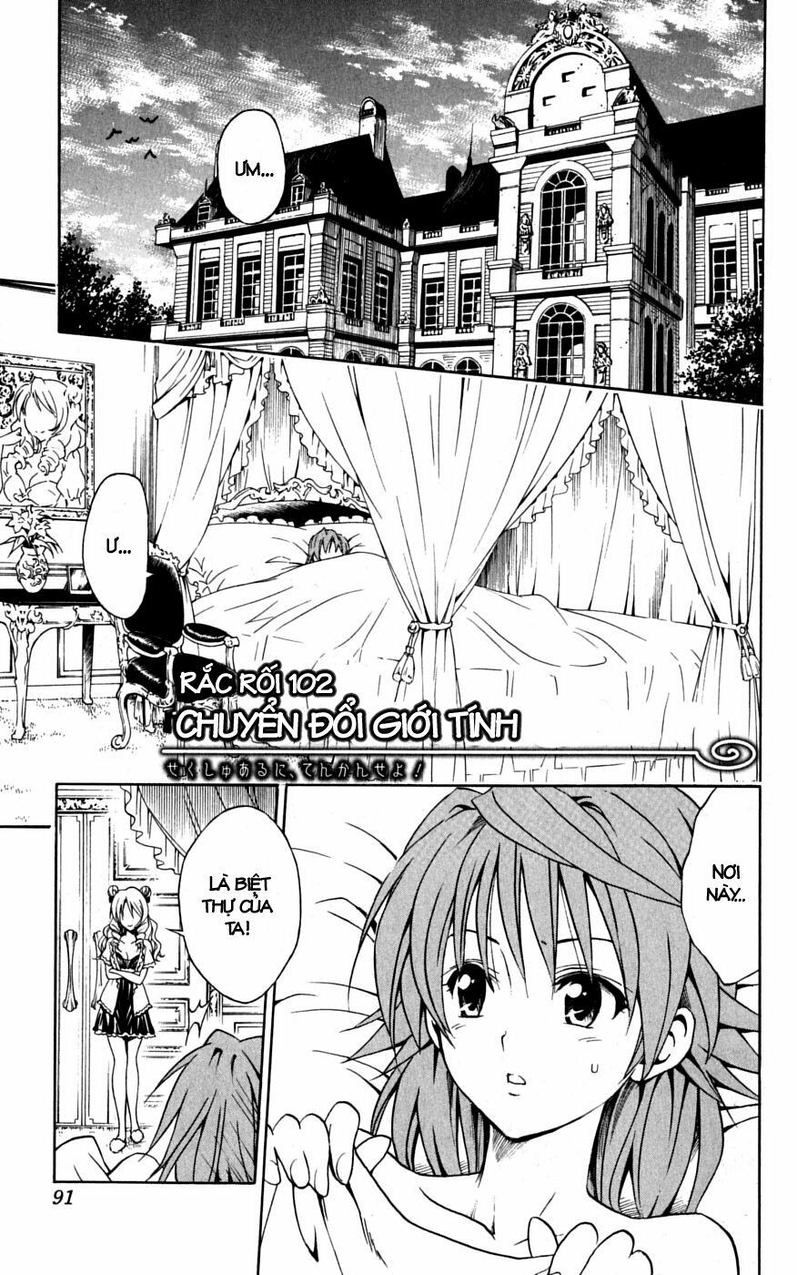 Bọn tớ thích cậu! Rito: Chapter 102