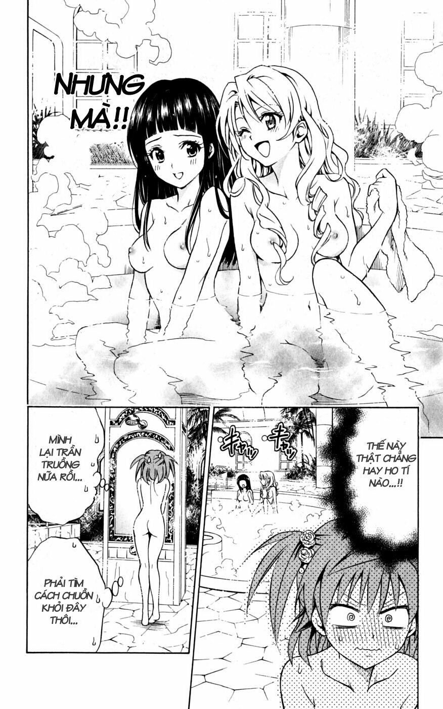 Bọn tớ thích cậu! Rito: Chapter 102