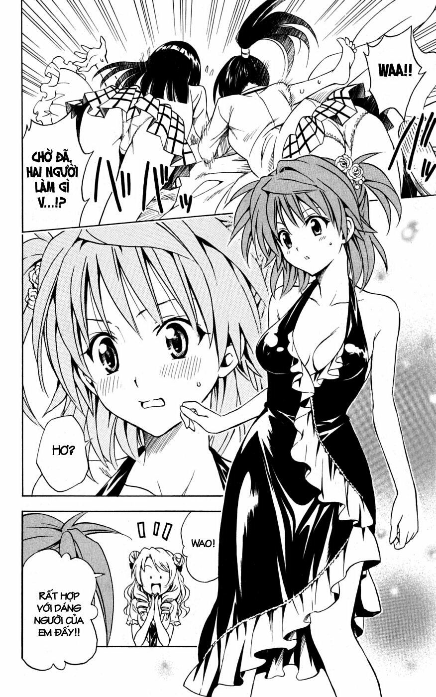 Bọn tớ thích cậu! Rito: Chapter 102