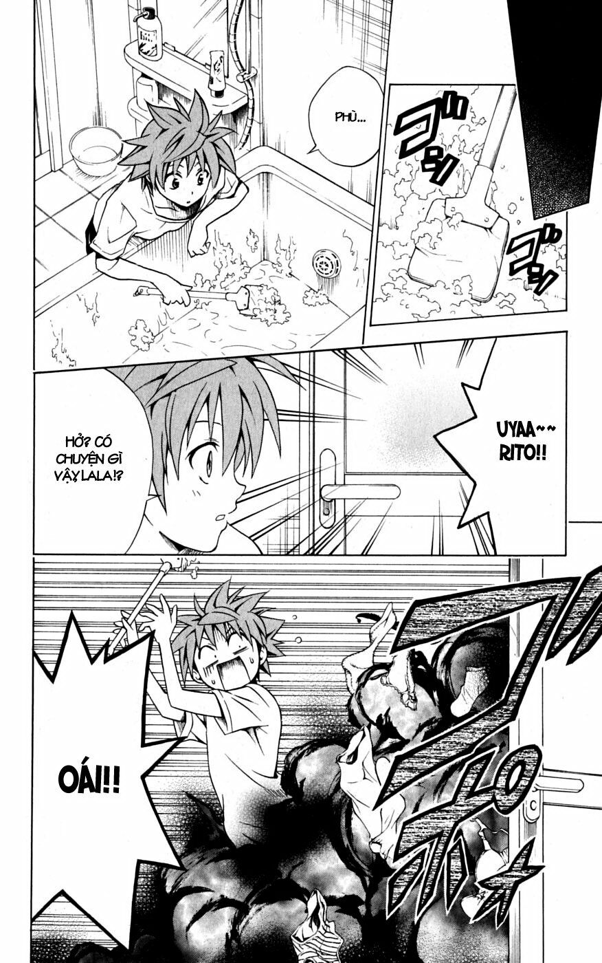 Bọn tớ thích cậu! Rito: Chapter 104
