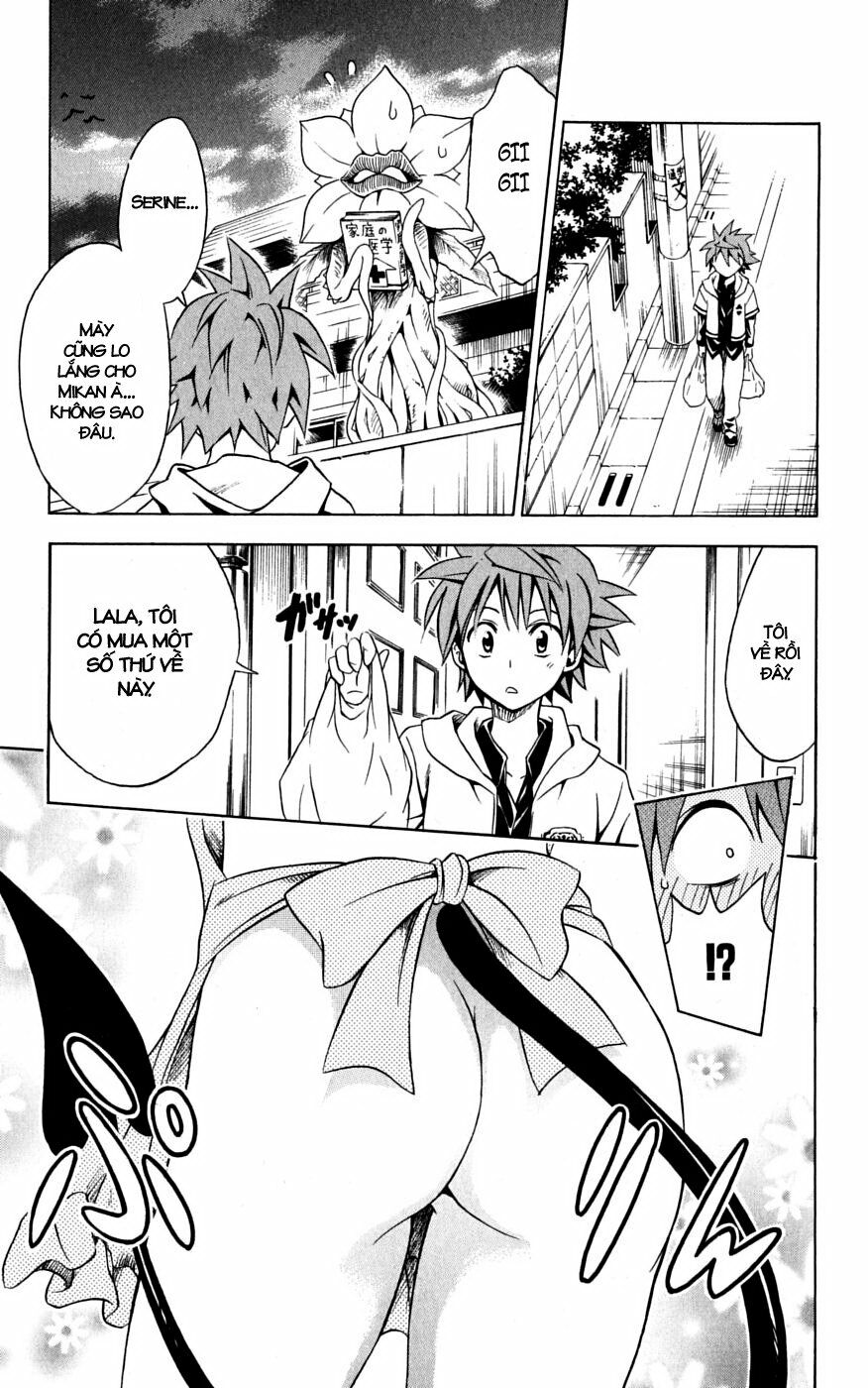 Bọn tớ thích cậu! Rito: Chapter 104