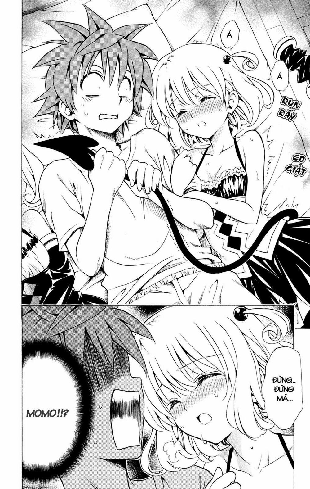 Bọn tớ thích cậu! Rito: Chapter 116