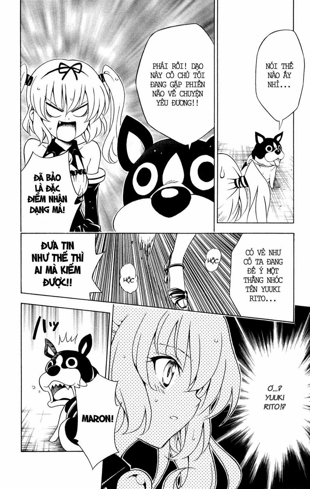 Bọn tớ thích cậu! Rito: Chapter 116