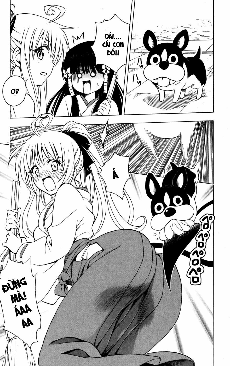 Bọn tớ thích cậu! Rito: Chapter 134