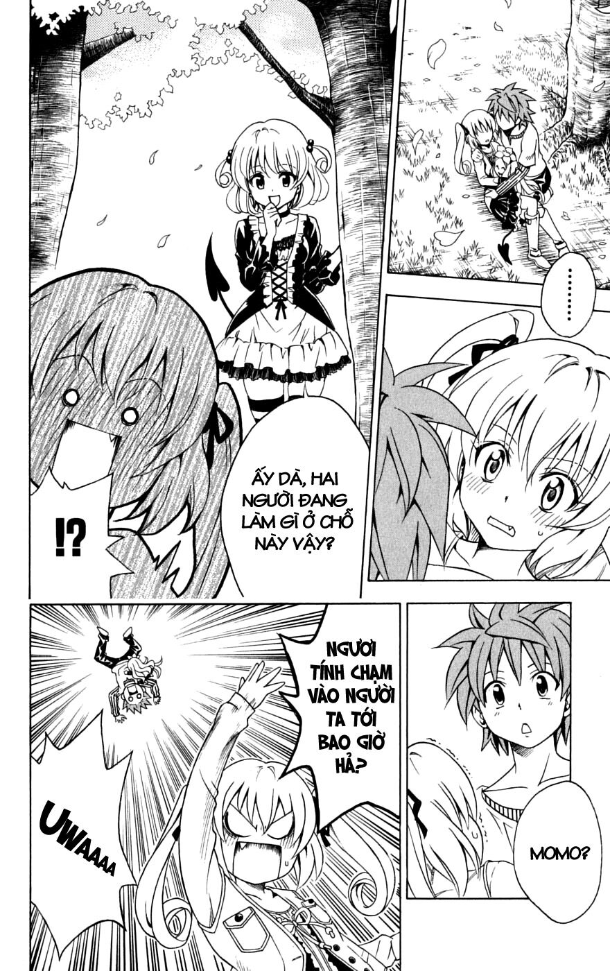 Bọn tớ thích cậu! Rito: Chapter 141