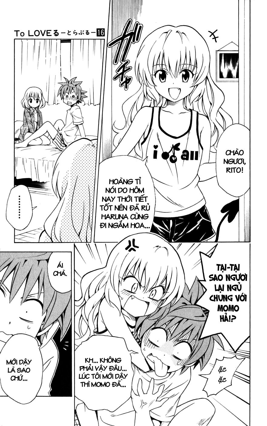 Bọn tớ thích cậu! Rito: Chapter 141