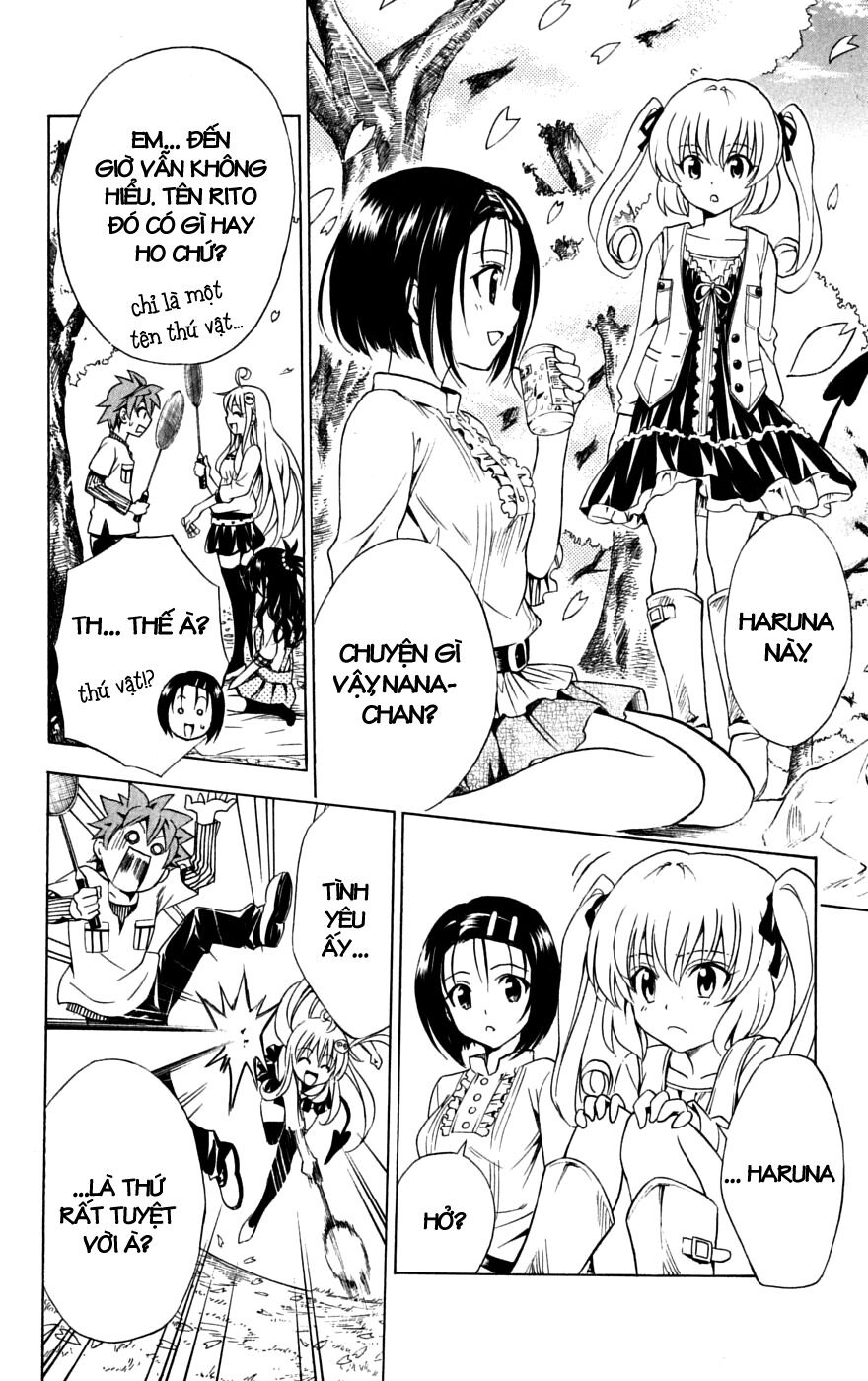 Bọn tớ thích cậu! Rito: Chapter 141