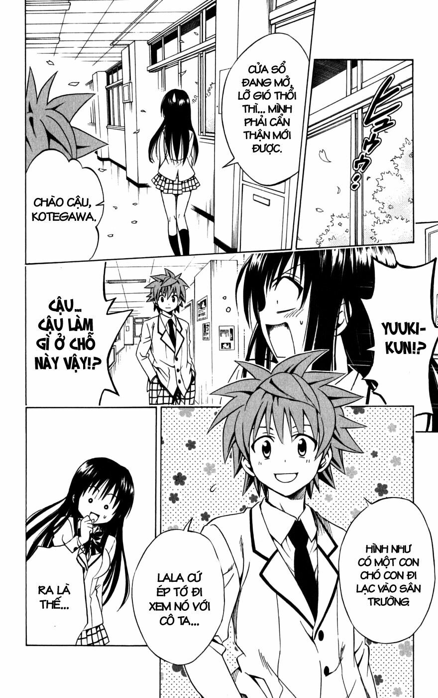 Bọn tớ thích cậu! Rito: Chapter 142