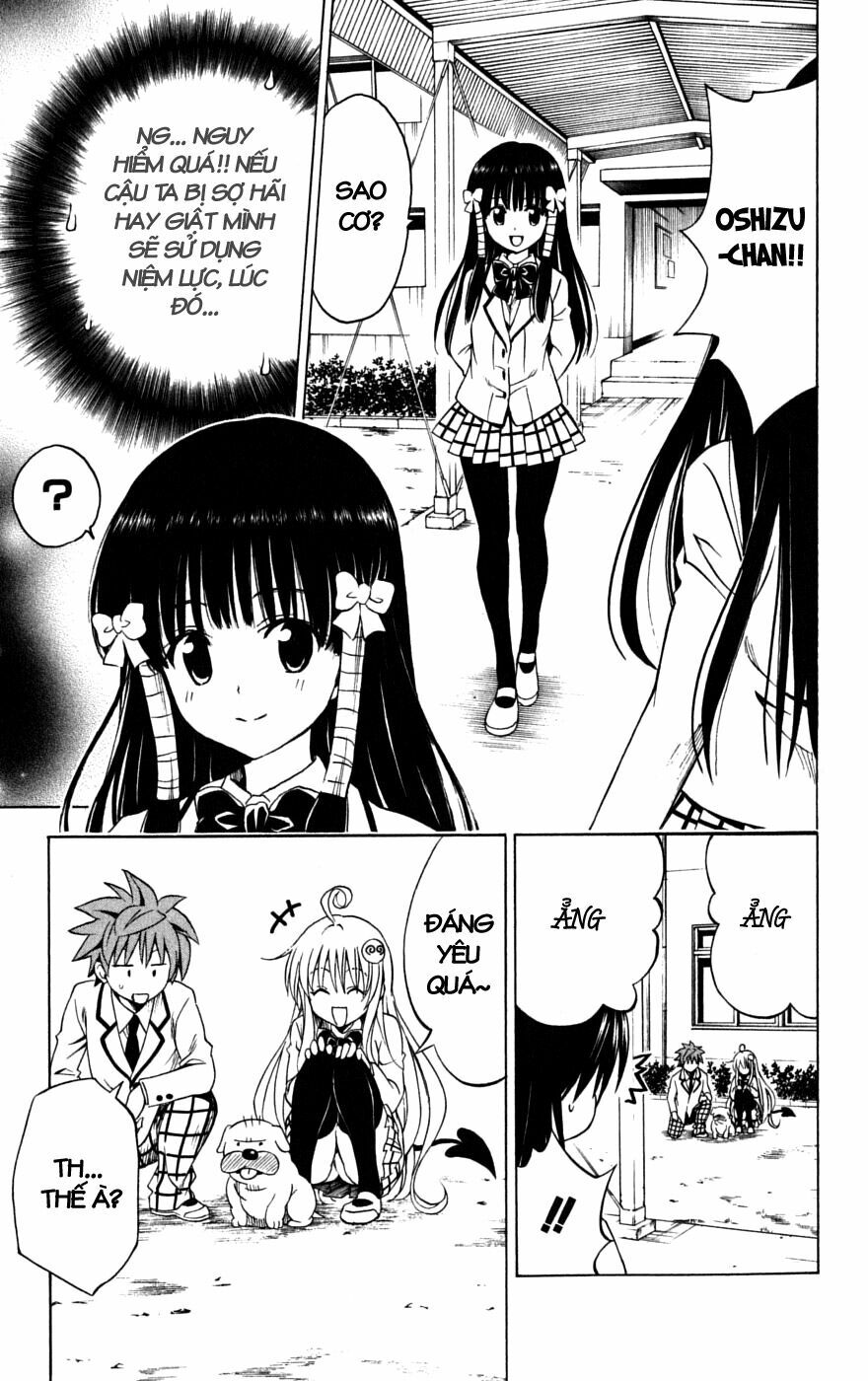 Bọn tớ thích cậu! Rito: Chapter 142