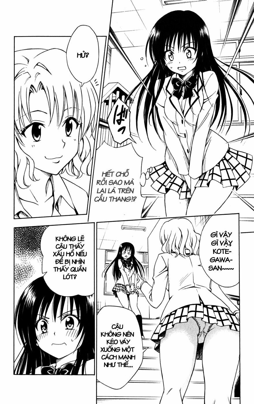Bọn tớ thích cậu! Rito: Chapter 142