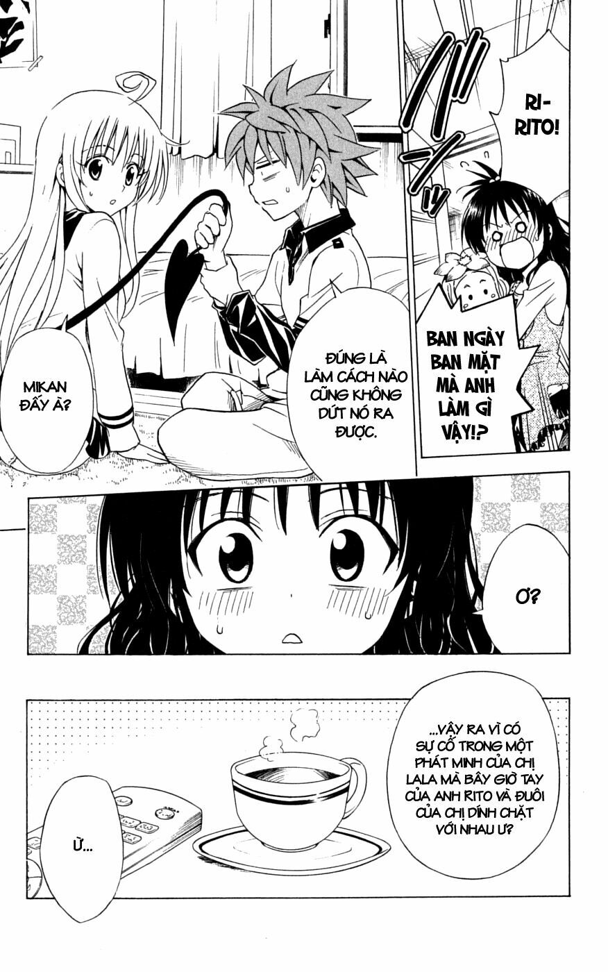 Bọn tớ thích cậu! Rito: Chapter 143