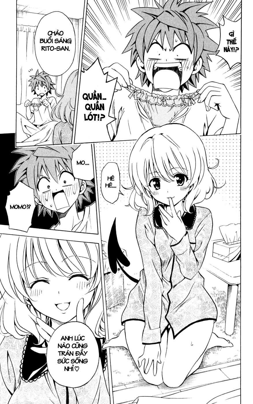 Bọn tớ thích cậu! Rito: Chapter 152