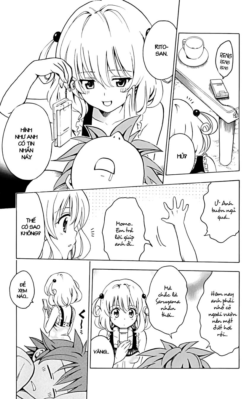 Bọn tớ thích cậu! Rito: Chapter 155
