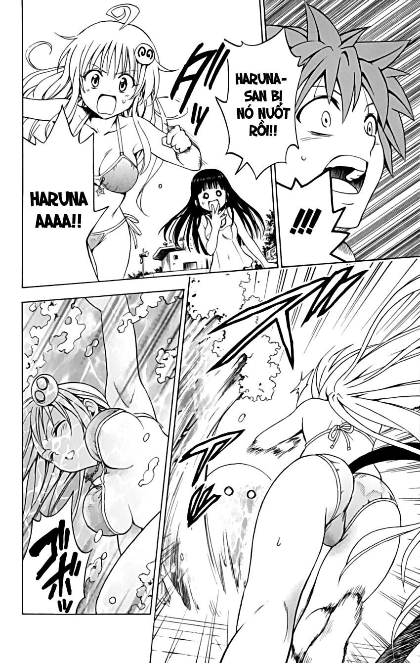 Bọn tớ thích cậu! Rito: Chapter 160