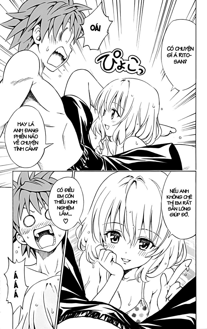 Bọn tớ thích cậu! Rito: Chapter 160