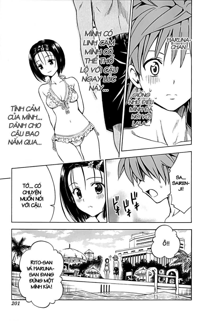 Bọn tớ thích cậu! Rito: Chapter 162: End