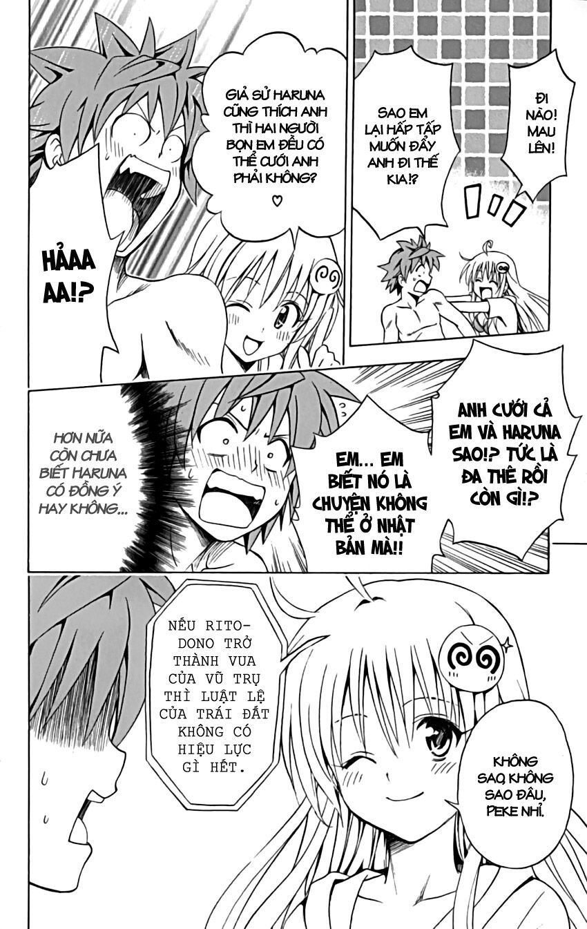 Bọn tớ thích cậu! Rito: Chapter 162: End