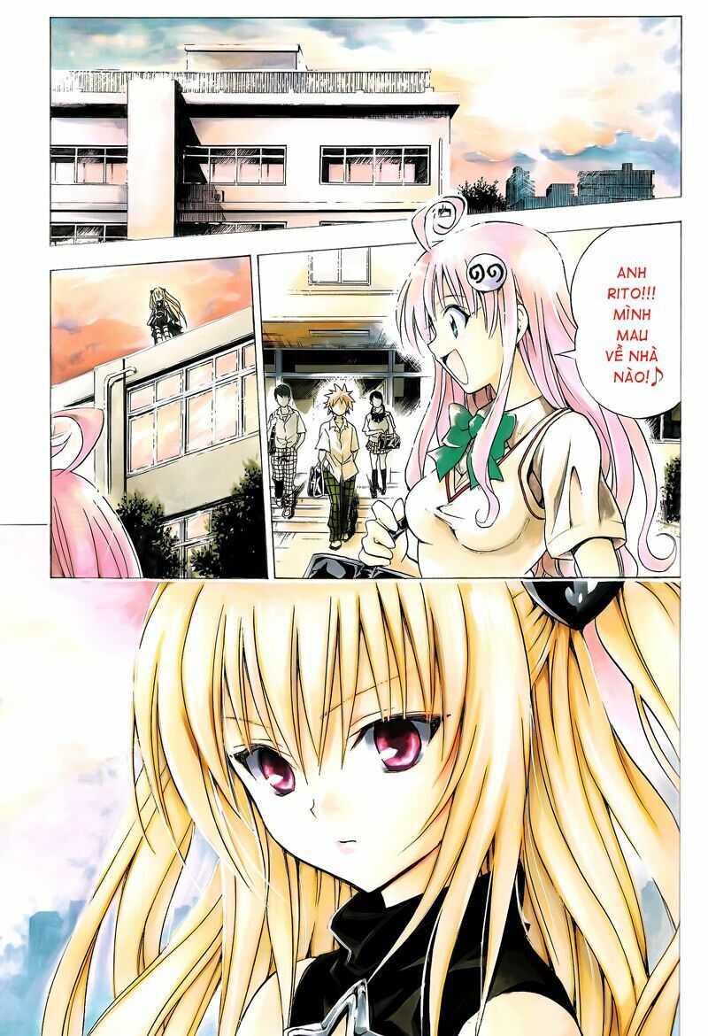 Bọn tớ thích cậu! Rito: Chapter 164: - bonus 2