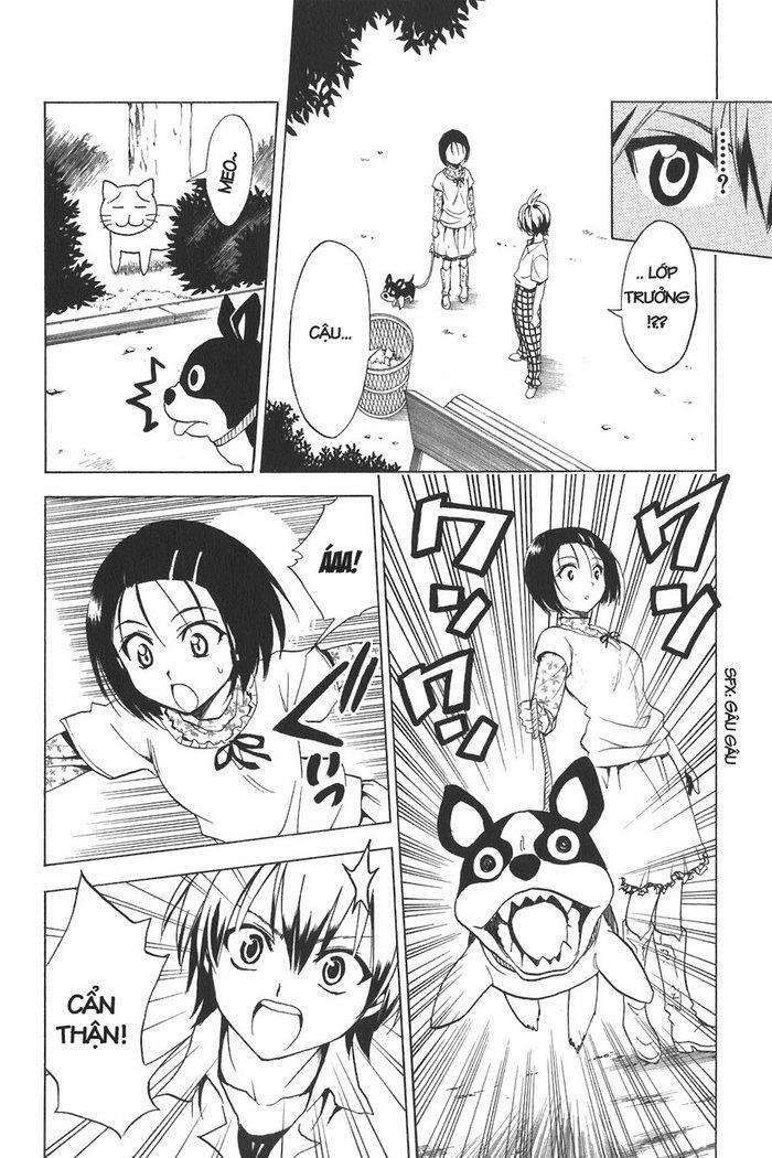 Bọn tớ thích cậu! Rito: Chapter 21