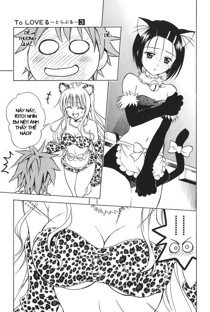 Bọn tớ thích cậu! Rito: Chapter 24