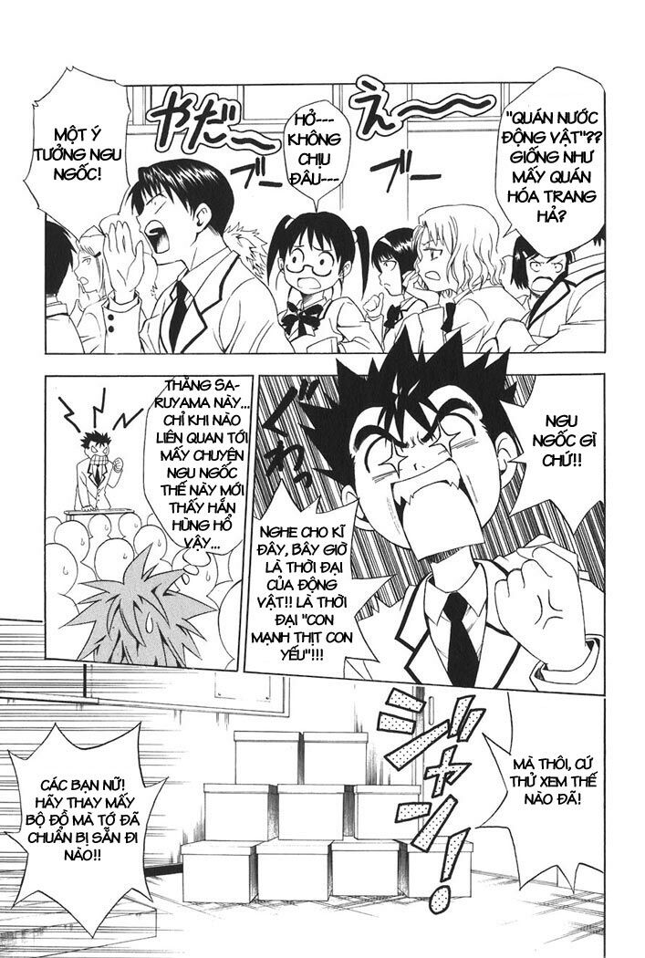 Bọn tớ thích cậu! Rito: Chapter 24