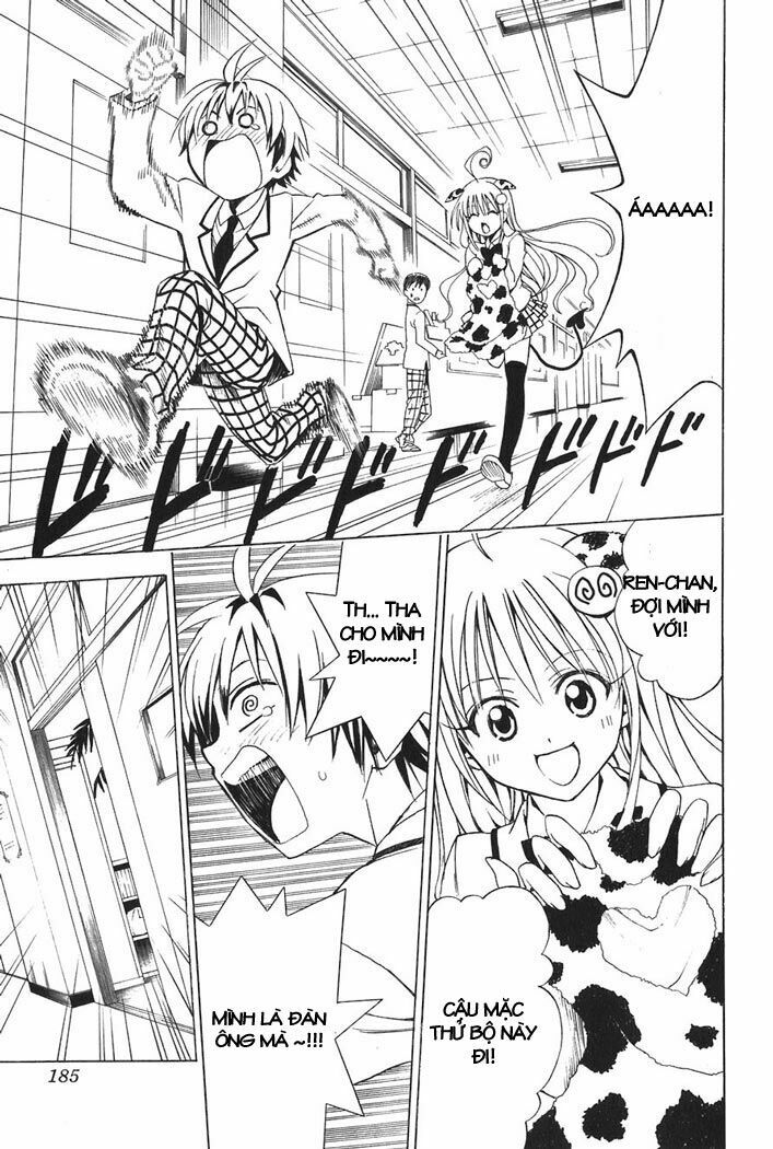 Bọn tớ thích cậu! Rito: Chapter 25