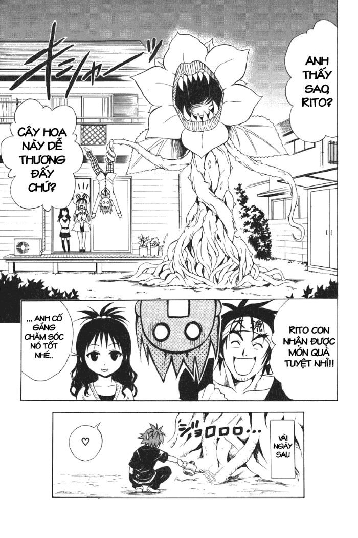 Bọn tớ thích cậu! Rito: Chapter 27