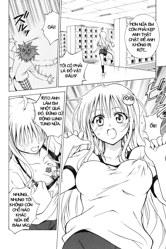 Bọn tớ thích cậu! Rito: Chapter 28
