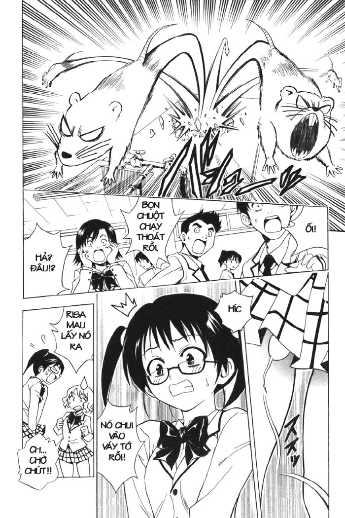 Bọn tớ thích cậu! Rito: Chapter 31