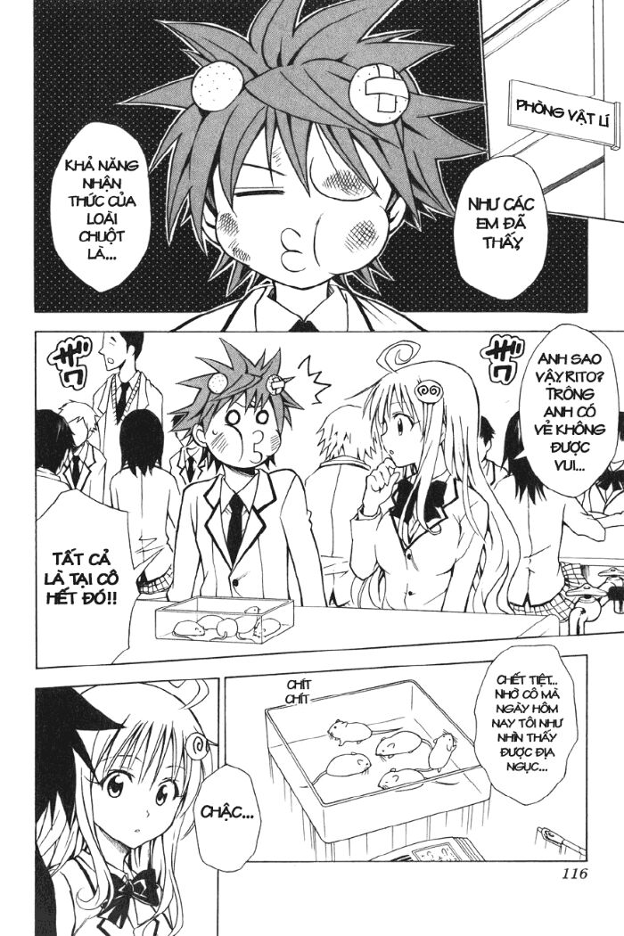 Bọn tớ thích cậu! Rito: Chapter 31