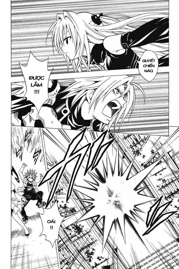 Bọn tớ thích cậu! Rito: Chapter 36