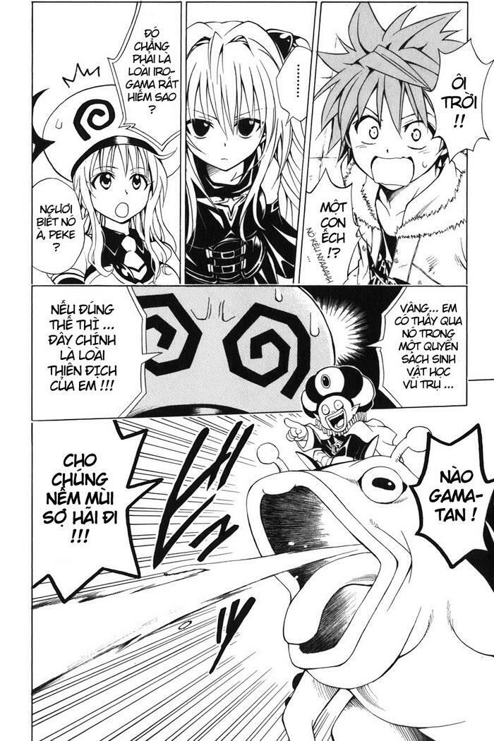 Bọn tớ thích cậu! Rito: Chapter 38