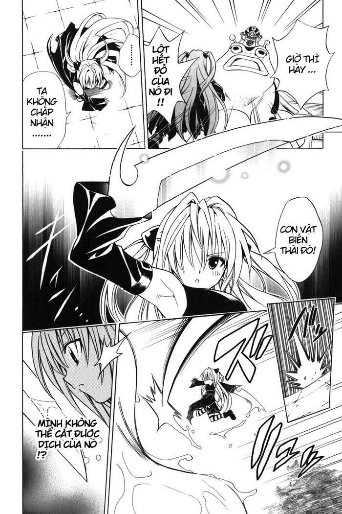 Bọn tớ thích cậu! Rito: Chapter 38
