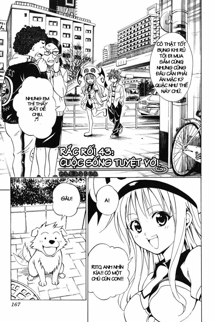 Bọn tớ thích cậu! Rito: Chapter 43